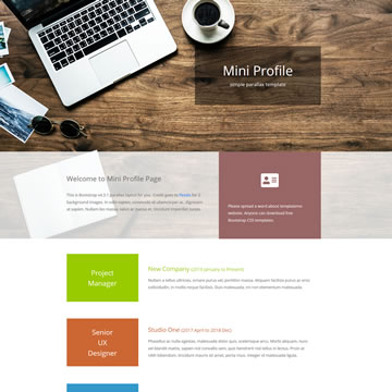 Mini Profile Template
