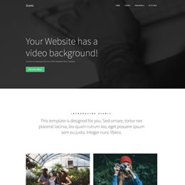 Scenic Template
