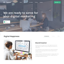 Tween Agency Template