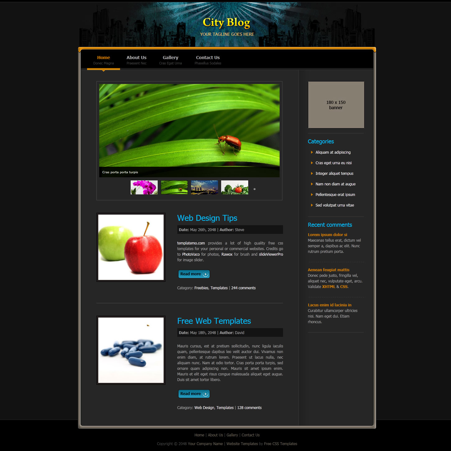 City Blog Template